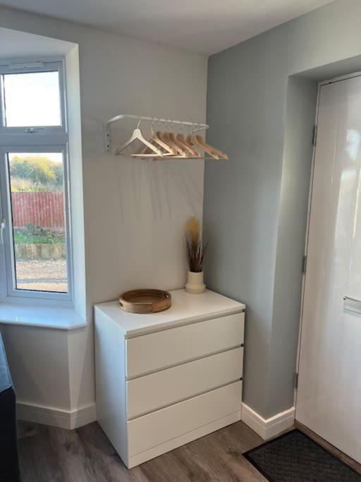 Abbotsbury 1 Bed Studio Opposite Uwe Free Parking Bristol Exteriör bild